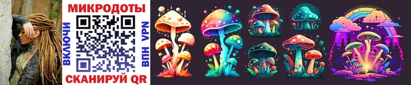 Галлюциногенные грибы Magic Shrooms Высоцк